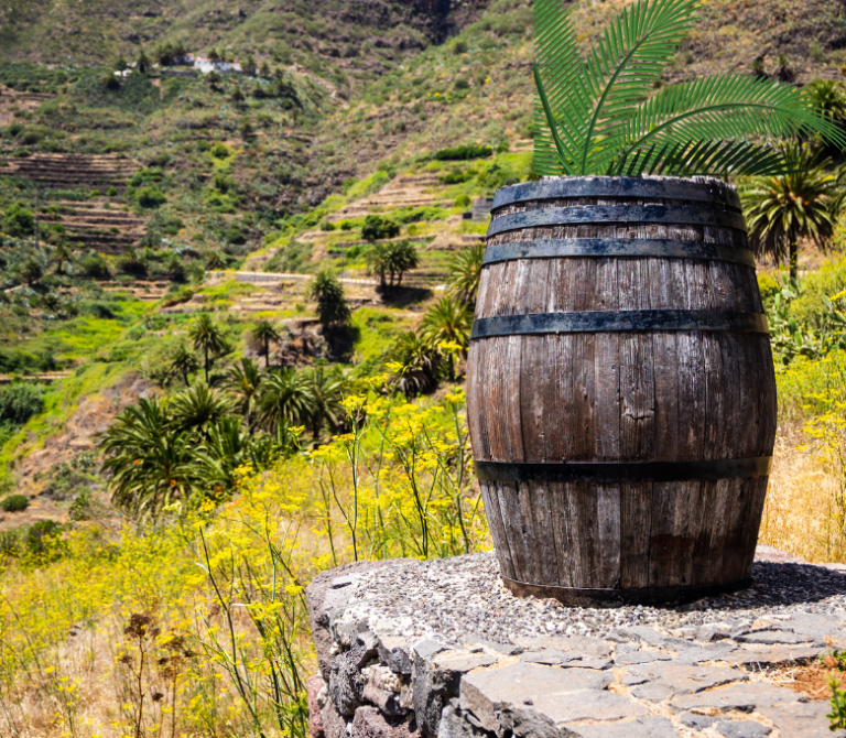 How to Grow Plants in a Wine Barrel Successfully